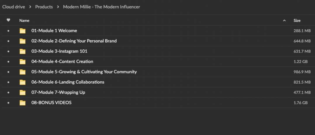 Modern Millie – The Modern Influencer