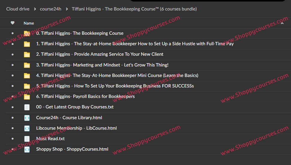 Tiffani Higgins - The Bookkeeping Course™ proof 