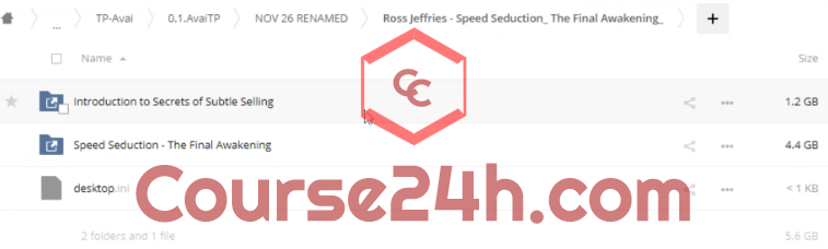 Ross Jeffries – Speed Seduction: The Final Awakening